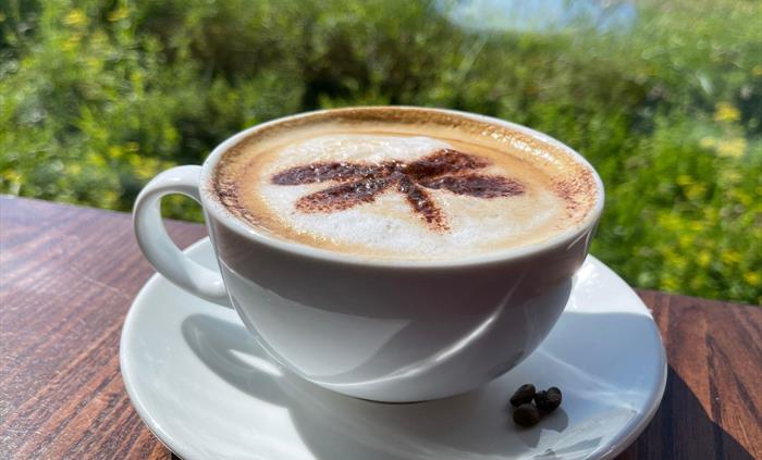 Frothy latte in front of a wetland scene in the sunshine.